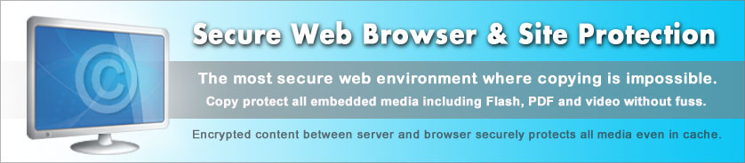適用所有媒體的網站保護和安全瀏覽器